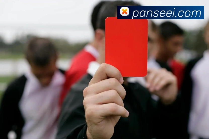 开云官网平台生态图